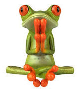 Photo of tree frog in the classic yoga lotus position.
